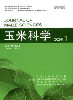玉米科学